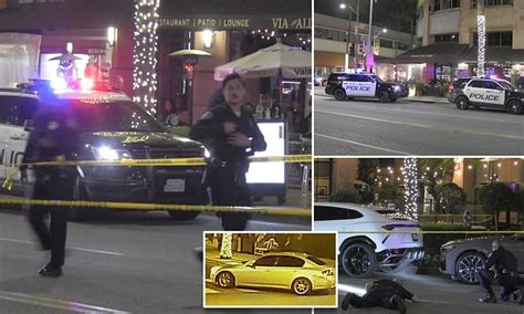 rodeo drive robbery